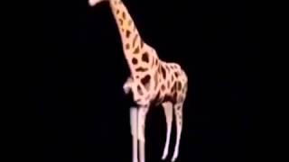 Giraffen Twerk