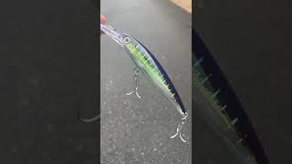 Do you fish Rapala lures? #jandhtackle #fishing #fishinglures #trolling