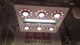 LED Grow Lights Depot - BEST Online Store for LED Grow Lighting!