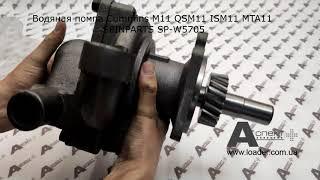 Водяная помпа water pump Cummins M11 QSM11 ISM11 MTA11 SPINPARTS SP W5705