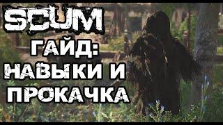 SCUM | (0,5) ГАЙД ДЛЯ НОВИЧКОВ, НАВЫКИ И ПРОКАЧКА ПЕРСА!