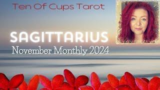 Sagittarius -"Opportunities & A New Love Interest"| November 2024