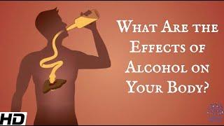 What Are The Effects Of Alcohol On Your Body?