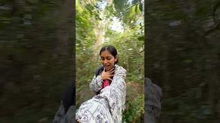 Song of INDRI INDRI in Madagascar  #madagascar #africa #trending #youtubeshorts #lemur