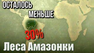 Вырубка лесов Амазонки это глобальная угроза?