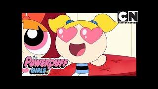 Блисс | Суперкрошки | Месть комара | Cartoon Network