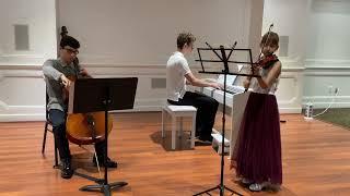 Bach Air. Trio violin, viola, piano.