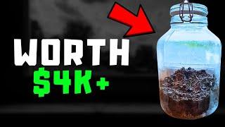 I Made Thousands With a Jar Of Dirt...