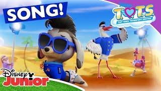  Picture Perfect | TOTS | Disney Junior Africa