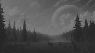 Wayr - Follow the Light