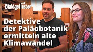 Vergangenem Klimawandel auf der Spur: Mittels Paläobotanik Ökosysteme und Klimadynamik verstehen