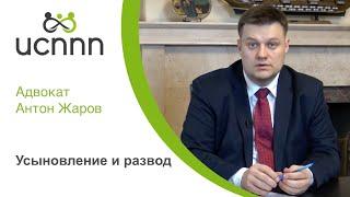 Усыновление и развод. ИСППП и адвокат Жаров