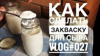 Как сделать закваску для сыра