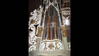 Orgelschätze in Thüringen: Die Compenius-Orgel in St. Michaelis, Erfurt