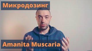 Микродозинг мухоморов amanita muscaria. Личный опыт и рекомендации. Возможные эффекты и проблемы