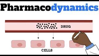 Pharmacodynamics MADE EASY FOR BEGINNERS