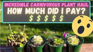 Cephalotus & Ping Haul - Lucky Carnivorous Plant Hookup - Incredible Deal