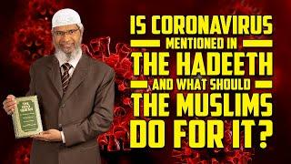 Is Coronavirus mentioned in the Hadeeth and what should the Muslims do for it? - Dr Zakir Naik