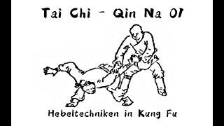 Tai Chi - Qin Na 01- Stille in der Bewegung, Bewegung in der Stille - 静中求动,动中求静