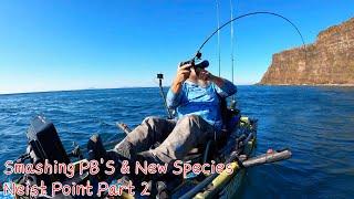 NEW SPECIES & SMASHING PB's - Kayak Fishing Neist Point Part 2 - Small Boat Fishing UK #kayakfishing