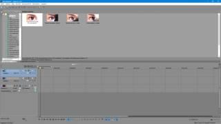 Что делать если всё пропало в sony vegas pro (Что делать если пропали все окна в sony vegas pro)