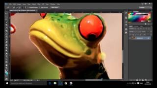 How to use quick selection tool in photoshop cc