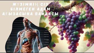 ВИНОГРАД. ЖҮЗІМНІҢ ПАЙДАСЫ.ТЕЗ АРАДА ЖҮЗІМДІ ЖЕҢІЗ.Пайдалы ақпарат
