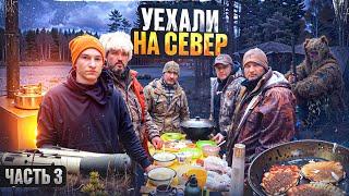 ВСТРЕЧА С МЕДВЕДЕМ//УХА В КАЗАНЕ//ТАЕЖНЫЙ БЫТ В ГЛУХОМ ЛЕСУ