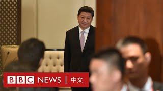 中共二十大：習式「大國外交」十年的跌宕起伏－ BBC News 中文