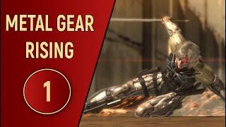 ПРОХОЖДЕНИЕ - METAL GEAR RISING - ЧАСТЬ 1