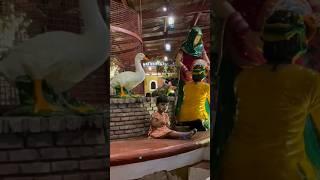 princess #shorts #viral #trending #shortvideo #viralvideo #khushi #cutebaby