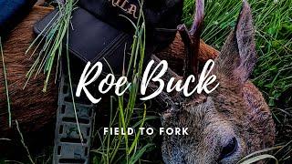 Stalking a Roe Buck - Venison Field to Fork - Hunter Gatherer Cooking HGC