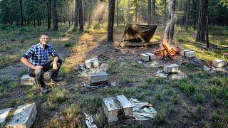 I'm Building a Guest LOG CABIN on My Land from SCRATCH! PART 1