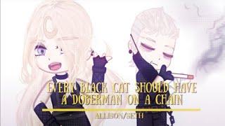 Allison Reynolds and Seth Gordon (Every black cat should have a Doberman on a chain)