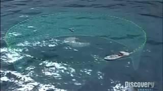 TANGKAPAN TUNA DILAKUKAN AHLINYA