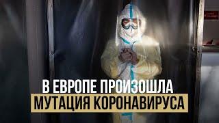 В Европе произошла мутация коронавируса. Смертность выросла, границы закрылись