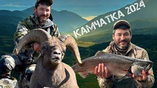 Трофейная охота и рыбалка на Камчатке. Август 2024/Snow sheep hunting and fishing in Kamchatka.