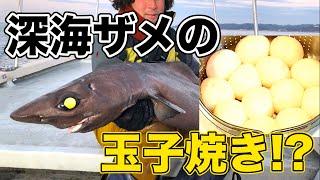 【サメ】深海鮫の卵で玉子焼きを作る【釣り】Make omelettes from eggs of shark caught at 500m depth!!