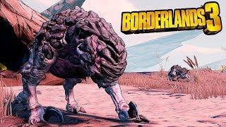 СЕКРЕТЫ ЛОКАЦИИ СУШЬ - Borderlands 3