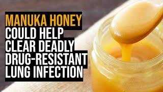 Manuka honey could help to clear deadly drug-resistant lung infection – new research