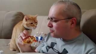 Garfield wants my pizza