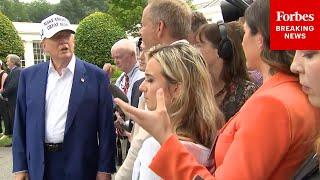 'Do You Ever Ask A Positive Question At CNN?': Trump Lashes Out At CNN Reporter