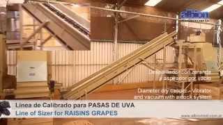 ALBION - Línea de Calibrado para Pasas de Uva - Sizing Line for Raisins Grapes