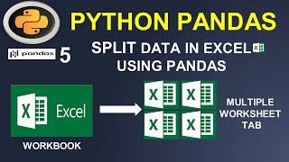 Python Pandas Tutorial: Split Excel Data into Worksheet by Column Values #5