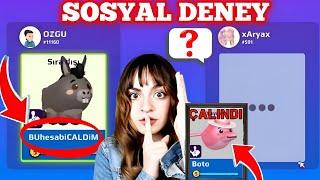 PK XD DOLANDIRICI İLE KARŞILAŞSAN NE YAPARDIN? SOSYAL DENEY! ( Sonu kötü , DOLANDIRILDIM )| ÖZGÜŞ TV