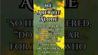 We Are Not Alone #prayer #Jesus #love #God #Bible #grace #inspiration #peace #shorts  #godspresence