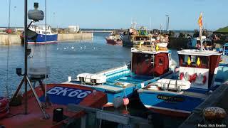 Iain Robson (Northumberland Coast AONB) talks about Eider Ducks at Seahouses Harbour