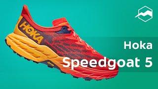 Кроссовки Hoka Speedgoat 5. Обзор