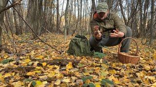 Ото Вам і Листопад!!! Майже Зима  а Тут такі ПЛАНТАЦІЇ ГРИБІВ