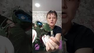 видео обзор светильник :"Роза и два бутона"